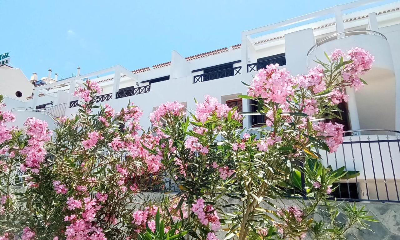 Under The Lime, Beautiful Apartment Los Cristianos Los Cristianos  Zewnętrze zdjęcie